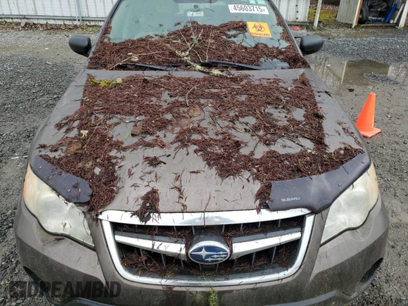 2009 Subaru Outback with VIN 4S4BP60C296319455, listed as a Copart auction lot 45603715 with 0 mi miles and Salvage Title. Bid and sale history available at carsss.com. Image 13.