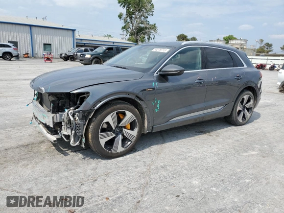 2019 Audi e-tron Prestige with VIN WA1VAAGE5KB006016, listed as a Copart auction lot 53279713 with 50,275 mi miles. Bid and sale history available at carsss.com. Image 1.