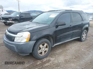 2005 Chevrolet Equinox LS with VIN 2CNDL23F556194443, listed as a IAAI auction lot 41892253 with 178,263 mi miles. Bid and sale history available at carsss.com. Image 19.