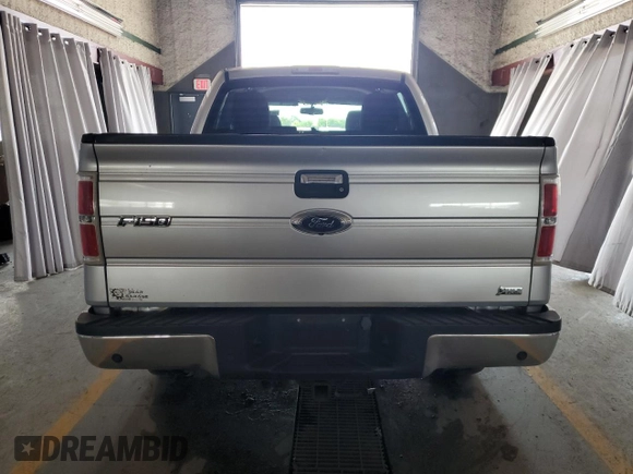 2010 Ford F-150 XL with VIN 1FTFW1EV3AFB69270, listed as a Copart auction lot 66163565 with 176,569 mi miles and Clean title. Bid and sale history available at DreamBid. Image 6.