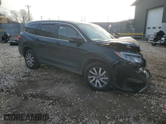 2021 Honda Pilot EX-L with VIN 5FNYF6H51MB011648, listed as a Copart auction lot 49216915 with Not Provided miles and Non Repairable. Bid and sale history available at DreamBid. Image 4.
