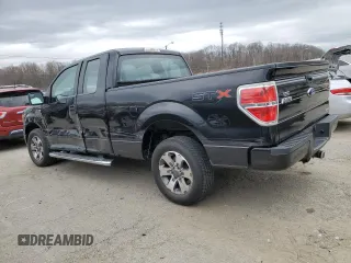 2013 Ford F-150 XL with VIN 1FTEX1CM9DFC18477, listed as a Copart auction lot 49625425 with 121,136 mi miles and Salvage Title. Bid and sale history available at carsss.com. Image 2.