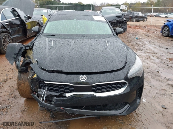 2019 Kia Stinger Premium with VIN KNAE25LAXK6059586, listed as a IAAI auction lot 40913071 with 48,511 mi miles. Bid and sale history available at carsss.com. Image 12.