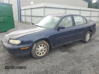 1999 Chevrolet Malibu LS with VIN 1G1NE52J6X6250093, listed as a Copart auction lot 64425934 with 118,262 mi miles and Salvage Title. Bid and sale history available at DreamBid. Image 1.