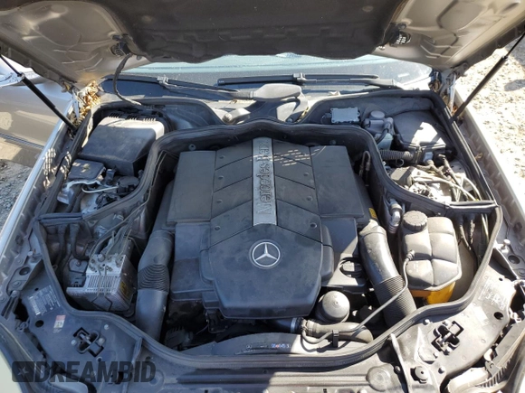 2003 Mercedes-Benz E-Class 5.0L with VIN WDBUF70J43A141846, listed as a Copart auction lot 49706765 with 199,428 mi miles and Salvage Title. Bid and sale history available at carsss.com. Image 11.