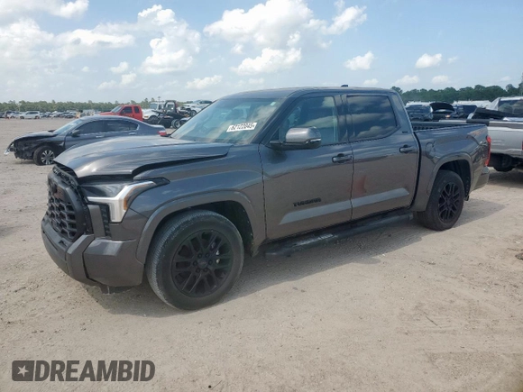 2022 Toyota Tundra SR5 with VIN 5TFLA5AB3NX009801, listed as a Copart auction lot 62122045 with 19,377 mi miles and Salvage title. Bid and sale history available at DreamBid. Image 1.