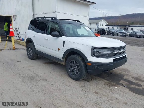 2021 Ford Bronco Sport Badlands with VIN 3FMCR9D96MRA04782, listed as a IAAI auction lot 41950901 with 53,174 mi miles. Bid and sale history available at carsss.com. Image 1.