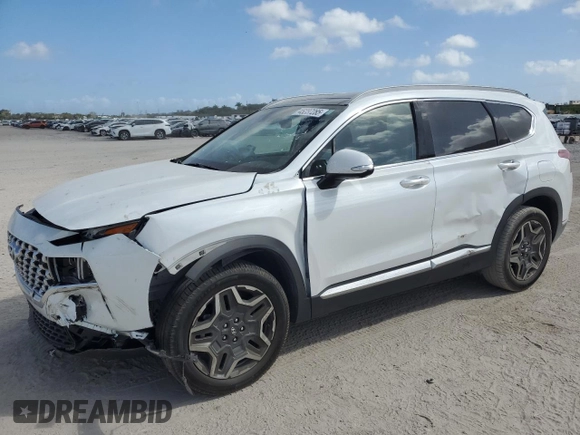 2022 Hyundai Santa Fe Limited with VIN 5NMS44AL2NH455808, listed as a Copart auction lot 45237285 with 51,255 mi miles and Salvage Title. Bid and sale history available at carsss.com. Image 1.
