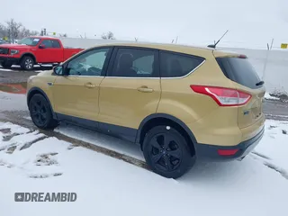 2014 Ford Escape SE with VIN 1FMCU9GX4EUE01300, listed as a IAAI auction lot 41674134 with 136,192 mi miles. Bid and sale history available at carsss.com. Image 3.