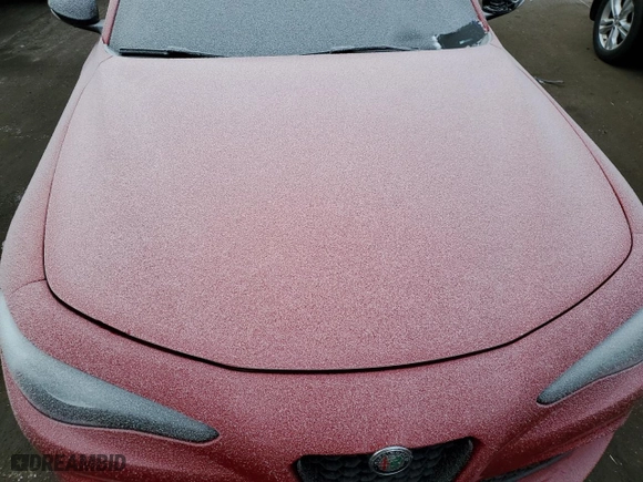 2020 Alfa Romeo Giulia Ti Sport with VIN ZARFANBN3L7632912, listed as a Copart auction lot 41491845 with 0 mi miles and Salvage Title. Bid and sale history available at carsss.com. Image 12.
