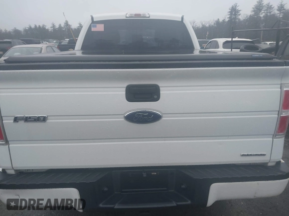 2013 Ford F-150 XL with VIN 1FTEX1EM0DFA08072, listed as a IAAI auction lot 41201636 with 105,745 mi miles and . Bid and sale history available at DreamBid. Image 16.