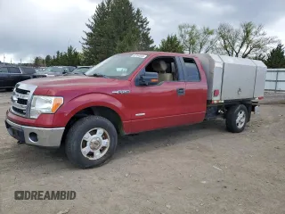 2014 Ford F-150 XL with VIN 1FTFX1ETXEKG17352, listed as a Copart auction lot 53354055 with 233,431 mi miles and Clean Title. Bid and sale history available at carsss.com. Image 1.