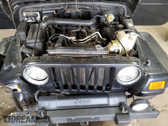 2002 Jeep Wrangler Sport with VIN 1J4FA49S62P713475, listed as a Copart auction lot 59299965 with 114,654 mi miles and Non repairable. Bid and sale history available at DreamBid. Image 11.