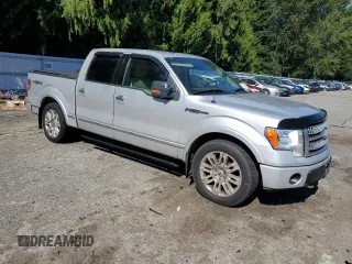 2009 Ford F-150 XL with VIN 1FTPW14V69FA48640, listed as a Copart auction lot 65913475 with 134,839 mi miles and Salvage title. Bid and sale history available at DreamBid. Image 4.