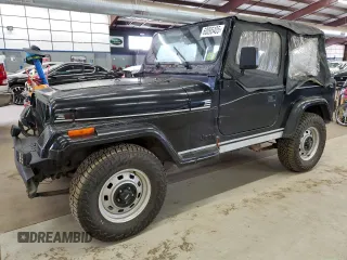 1993 Jeep Wrangler S z VIN 1J4FY19P9PP227563, wystawiony jako Copart lot #60095405 z przebiegiem 166 851 mil mil oraz Czysty tytuł • Clean title. Historia ofert i sprzedaży dostępna na DreamBid. Obrazek 1.
