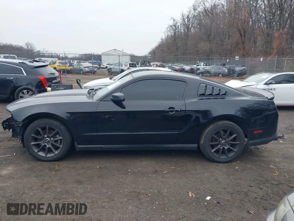 2012 Ford Mustang Premium z VIN 1ZVBP8AM1C5216285, wystawiony jako IAAI lot #41191304 z przebiegiem 190 290 mil mil oraz . Historia ofert i sprzedaży dostępna na DreamBid. Obrazek 15.