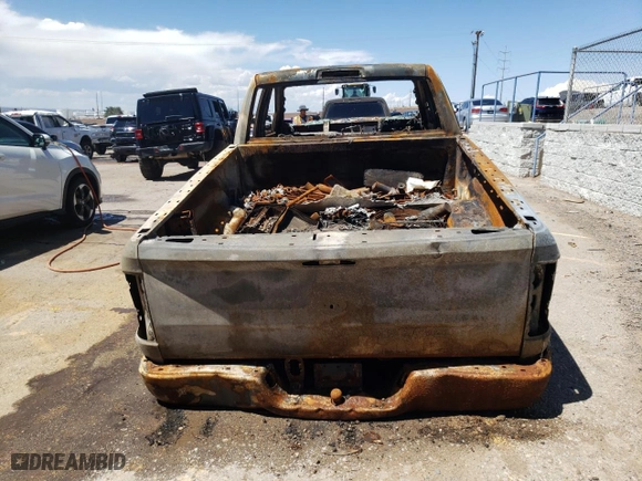 2010 Dodge Ram 1500 ST with VIN 1D7RB1GP7AS118200, listed as a Copart auction lot 60768254 with 0 mi miles and Non Repairable. Bid and sale history available at carsss.com. Image 6.