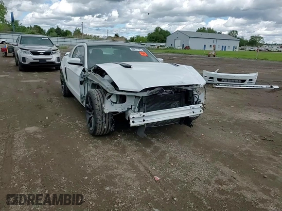 2014 Ford Mustang GT with VIN 1ZVBP8CFXE5295781, listed as a Copart auction lot 58222195 with 118,963 mi miles and Salvage title. Bid and sale history available at DreamBid. Image 14.