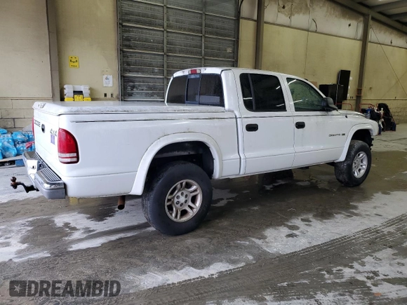 2002 Dodge Dakota SLT with VIN 1B7HG48N32S502224, listed as a Copart auction lot 44033265 with 261,381 mi miles and Salvage Title. Bid and sale history available at carsss.com. Image 3.