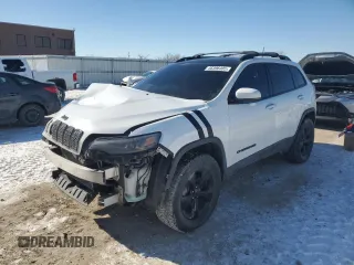 2020 Jeep Cherokee Altitude with VIN 1C4PJMLX9LD511845, listed as a Copart auction lot 46396405 with 122,338 mi miles and Salvage Title. Bid and sale history available at DreamBid. Image 1.
