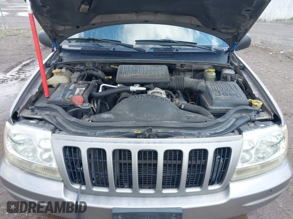 1999 Jeep Grand Cherokee Limited z VIN 1J4GW68N3XC597468, wystawiony jako IAAI lot #42353732 z przebiegiem 201 388 mil mil oraz . Historia ofert i sprzedaży dostępna na DreamBid. Obrazek 10.