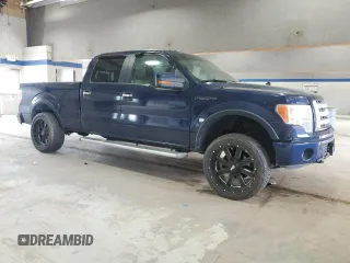 2009 Ford F-150 XL with VIN 1FTPW14V89KC53710, listed as a Copart auction lot 53499825 with 187,271 mi miles and Salvage Title. Bid and sale history available at carsss.com. Image 4.