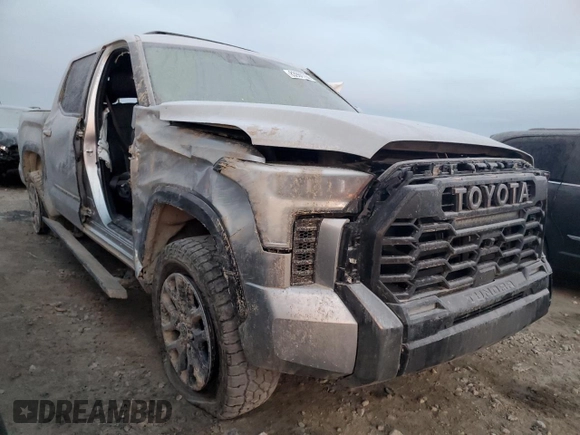 2023 Toyota Tundra Platinum with VIN 5TFNA5DB9PX128945, listed as a Copart auction lot 83960764 with Not provided miles and Salvage title. Bid and sale history available at DreamBid. Image 4.