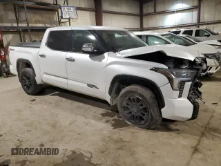 2022 Toyota Tundra 1794 Edition with VIN 5TFMA5DB0NX009609, listed as a Copart auction lot 86996704 with 79,697 mi miles and Salvage title. Bid and sale history available at DreamBid. Image 4.