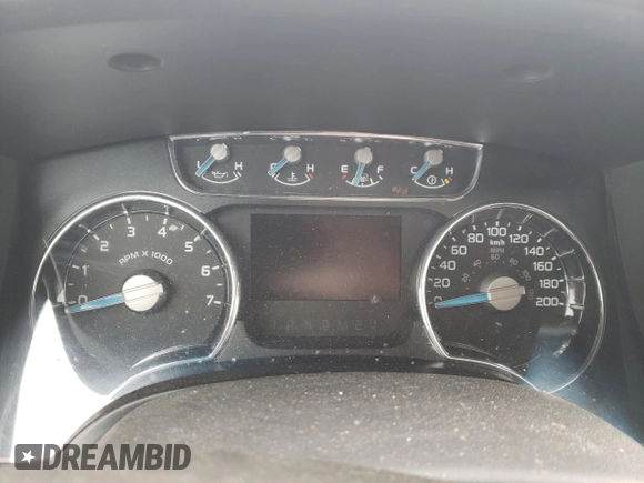 2013 Ford F-150 with VIN 2ATE01102DKD97632, listed as a Copart auction lot 49815235 with Not provided miles and Salvage title. Bid and sale history available at DreamBid. Image 9.