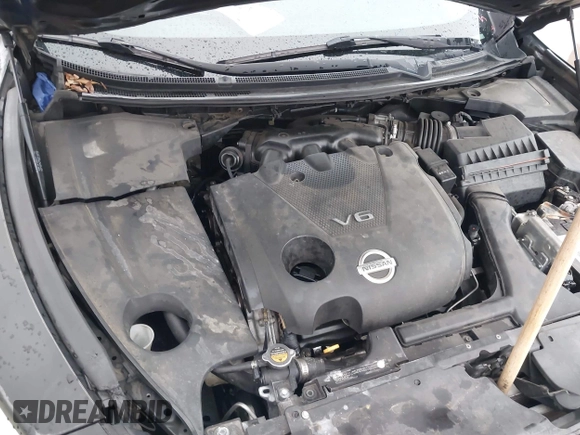 2009 Nissan Maxima SV with VIN 1N4AA51E19C806374, listed as a IAAI auction lot 42186924 with 215,930 mi miles and . Bid and sale history available at DreamBid. Image 10.