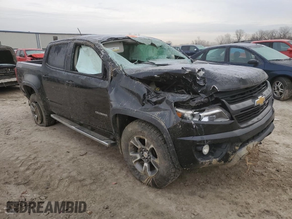 2015 Chevrolet Colorado 4WD Z71 with VIN 1GCGTCE37F1142651, listed as a Copart auction lot 44628595 with 150,287 mi miles and Salvage title. Bid and sale history available at DreamBid. Image 4.