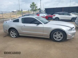 2014 Ford Mustang V6 с VIN 1ZVBP8AMXE5297192, выставлен на аукционе IAAI как лот 42231701 с пробегом Не указан миль и . История ставок и продаж доступна на DreamBid. Изображение 13.
