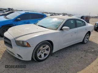 2014 Dodge Charger Police z VIN 2C3CDXAT8EH198935, wystawiony jako Copart lot #58036585 z przebiegiem 173 702 mil mil oraz Czysty tytuł • Clean title. Historia ofert i sprzedaży dostępna na DreamBid. Obrazek 1.