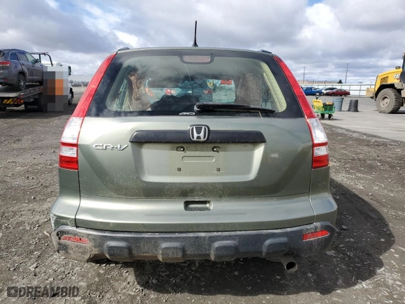 2007 Honda CR-V LX with VIN JHLRE48367C025706, listed as a Copart auction lot 49971755 with 0 mi miles and Salvage Title. Bid and sale history available at carsss.com. Image 6.