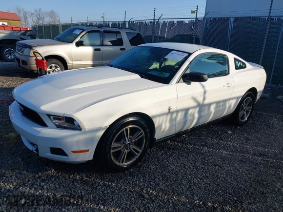 2010 Ford Mustang V6 with VIN 1ZVBP8AN7A5155689, listed as a IAAI auction lot 41775195 with 179,353 mi miles and . Bid and sale history available at DreamBid. Image 18.