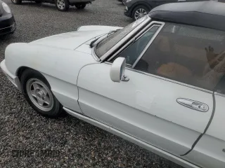 1991 Alfa Romeo Spider z VIN ZARBB32G8M6005213, wystawiony jako Copart lot #74077224 z przebiegiem Nie podano mil oraz Nie do naprawy. Historia ofert i sprzedaży dostępna na DreamBid. Obrazek 12.