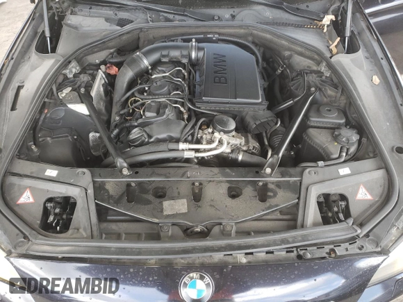 2013 BMW 5 Series 535i xDrive with VIN WBAFU7C5XDDU70417, listed as a Copart auction lot 60244315 with 182,264 mi miles and Clean title. Bid and sale history available at DreamBid. Image 11.