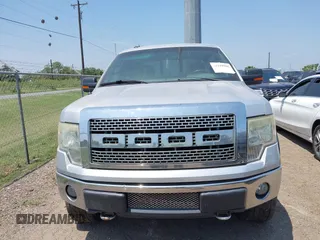 2010 Ford F-150 XL with VIN 1FTEX1E87AFD31629, listed as a IAAI auction lot 42111965 with 174,038 mi miles and . Bid and sale history available at DreamBid. Image 12.