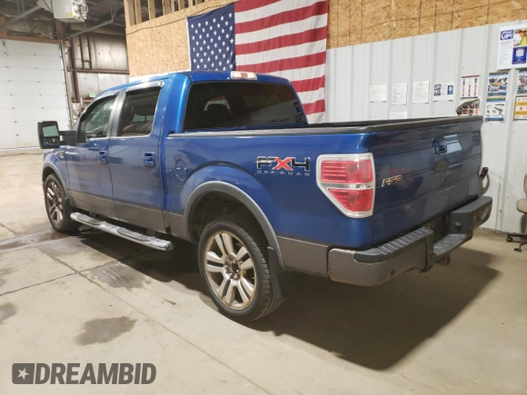 2009 Ford F-150 XL with VIN 1FTPW14V09KB58851, listed as a Copart auction lot 60174025 with 209,055 mi miles and Clean title. Bid and sale history available at DreamBid. Image 2.