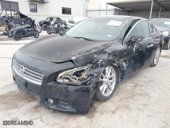 2009 Nissan Maxima 3.5 S with VIN 1N4AA51E89C831062, listed as a IAAI auction lot 41923084 with 176,709 mi miles. Bid and sale history available at carsss.com. Image 17.