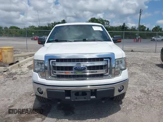 2013 Ford F-150 XL with VIN 1FTFW1EF8DFC39553, listed as a IAAI auction lot 42324628 with Not provided miles and . Bid and sale history available at DreamBid. Image 12.