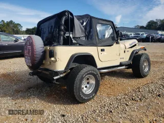 1993 Jeep Wrangler with VIN 1J4FY29S5PP247657, listed as a Copart auction lot 41595585 with 185,962 mi miles and Salvage Title. Bid and sale history available at carsss.com. Image 3.
