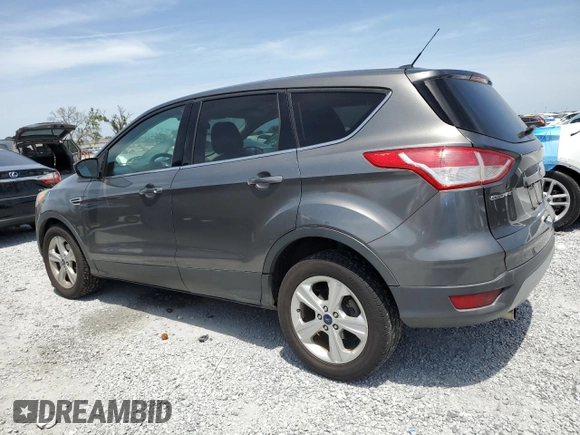 2014 Ford Escape SE with VIN 1FMCU0GXXEUB83262, listed as a Copart auction lot 53948235 with 113,548 mi miles and Clean Title. Bid and sale history available at DreamBid. Image 2.