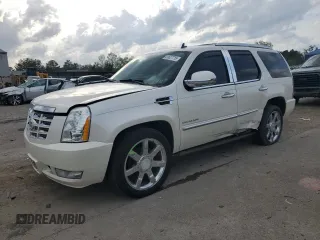 2010 Cadillac Escalade Premium with VIN 1GYUKCEF1AR291044, listed as a Copart auction lot 51627715 with 138,989 mi miles and Salvage title. Bid and sale history available at DreamBid. Image 1.