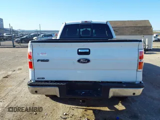 2012 Ford F-150 XL with VIN 1FTFX1ET2CFA74133, listed as a IAAI auction lot 42052273 with 223,019 mi miles and . Bid and sale history available at DreamBid. Image 17.
