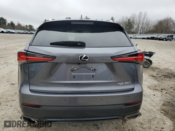 2020 Lexus NX 300 with VIN JTJGARDZ0L2230278, listed as a Copart auction lot 49786155 with 38,606 mi miles and Non Repairable. Bid and sale history available at DreamBid. Image 6.