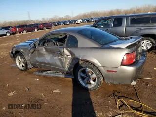 2002 Ford Mustang GT Deluxe with VIN 1FAFP42X02F222566, listed as a Copart auction lot 46365355 with 0 mi miles and Salvage Title. Bid and sale history available at carsss.com. Image 2.