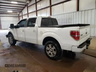 2009 Ford F-150 XL with VIN 1FTPW14VX9FB49308, listed as a Copart auction lot 58503935 with 463,505 mi miles and Clean title. Bid and sale history available at DreamBid. Image 2.