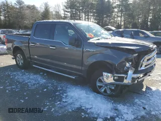 2017 Ford F-150 XL with VIN 1FTEW1EF8HFB34383, listed as a Copart auction lot 45608185 with Not Provided miles and Salvage Title. Bid and sale history available at carsss.com. Image 4.
