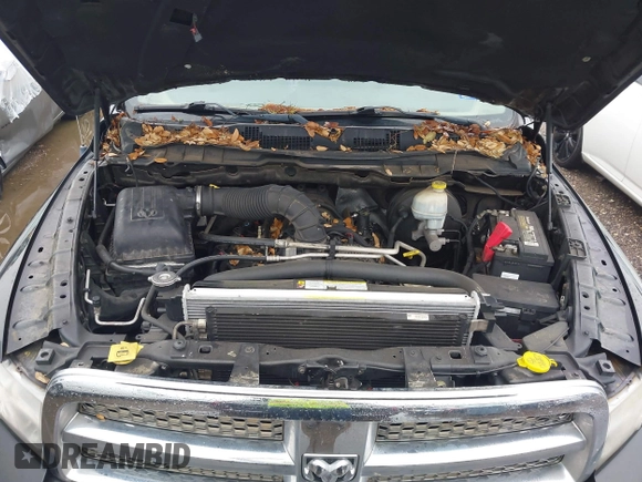2009 Dodge 1500 Sport with VIN 1D3HB13T09S710436, listed as a IAAI auction lot 42193857 with 247,539 mi miles. Bid and sale history available at carsss.com. Image 10.